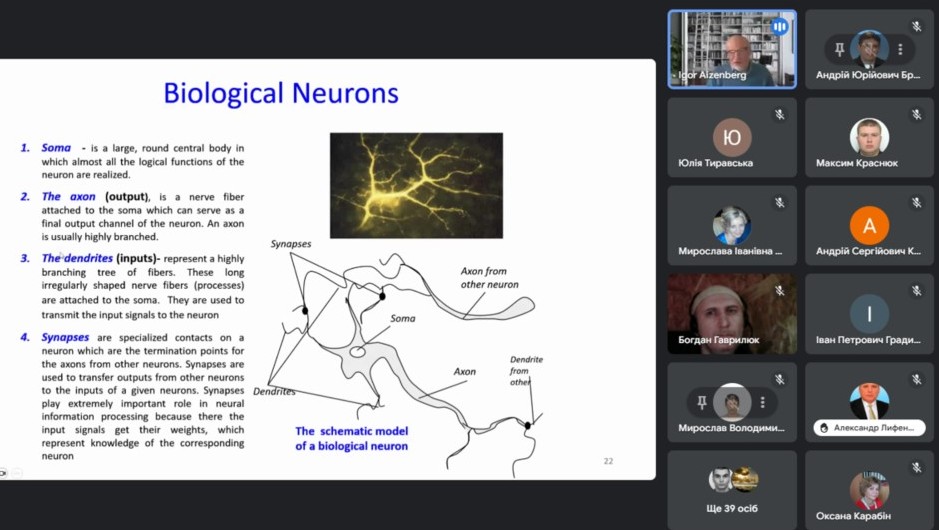 Біологічні нейрони